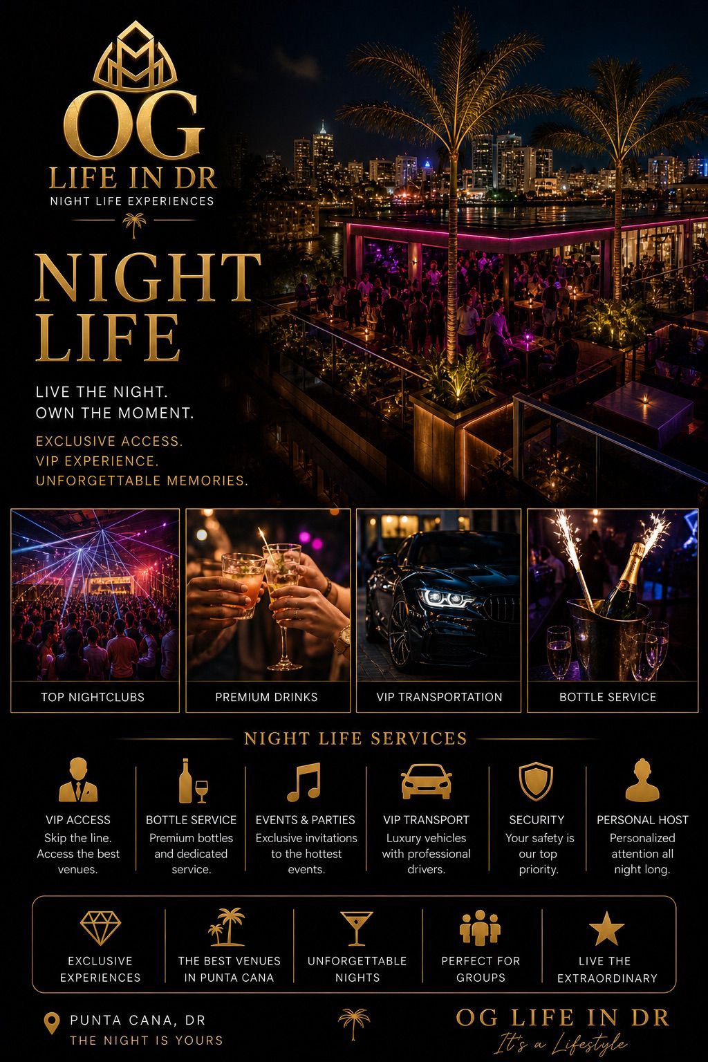 VIP Nightlife Experience